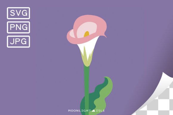Funky Modern Floral Calla Lily 2-2 Graphics Review