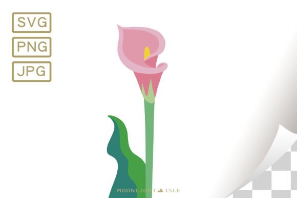 Funky Modern Floral Calla Lily 5-1 Graphics