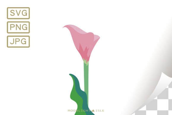Funky Modern Floral Calla Lily 5-3 Graphics Review